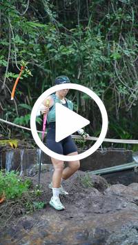 BIB:  <button type="button" onclick="openModal(27706664)" class="btn btn-primary btn-sm float-right" data-toggle="modal" data-target=".modal-high-quality">
                <i class="fa fa-download"></i> Download
                </button>